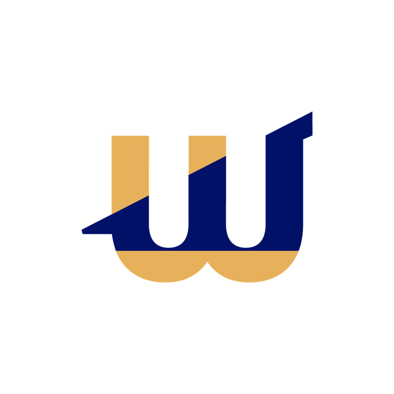 Wellspring W lettermark bug — navy and gold